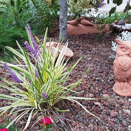 Nel Giardino Di Dafne Villa Stresa Eksteriør bilde