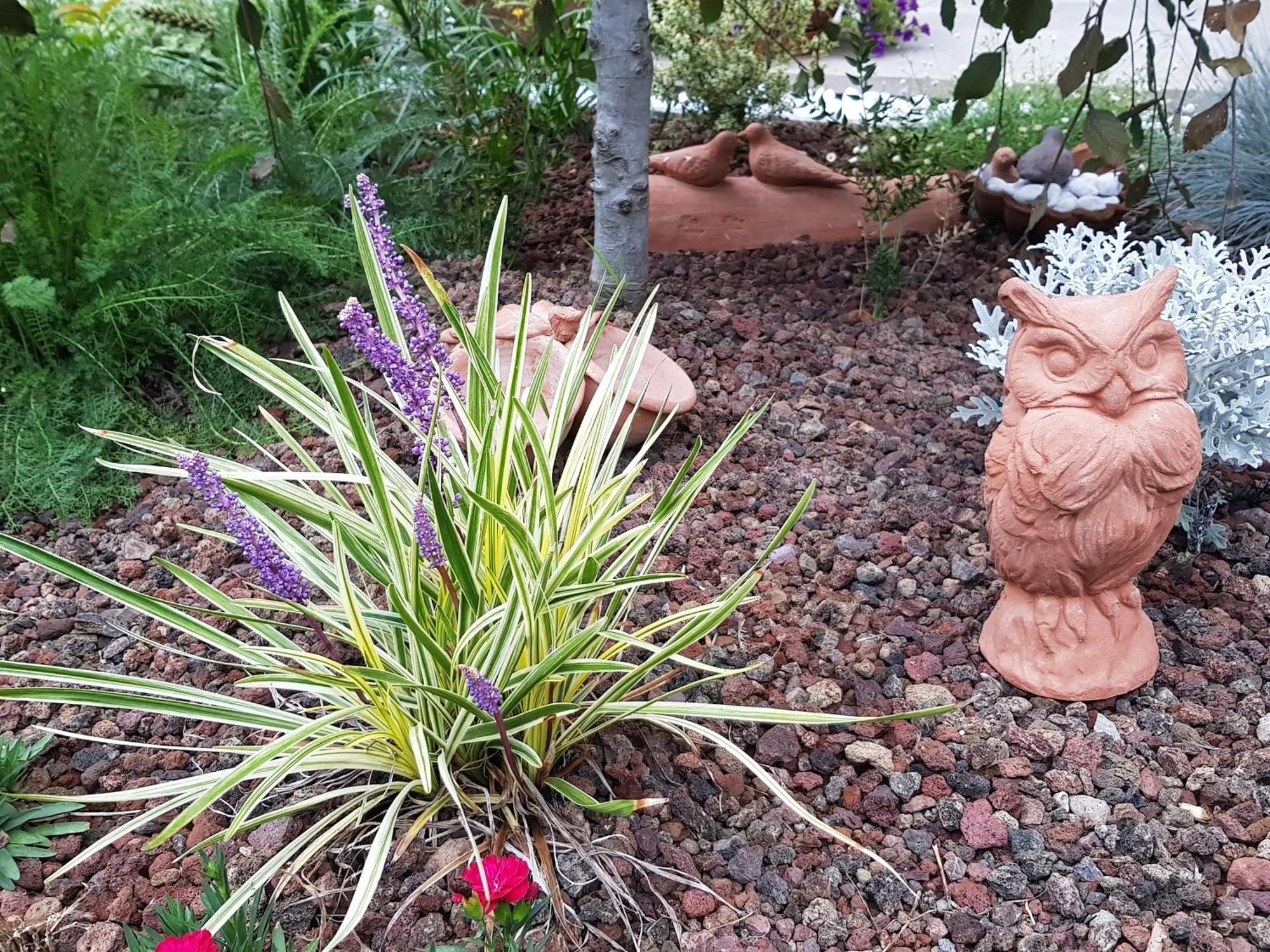 Nel Giardino Di Dafne Villa Stresa Eksteriør bilde